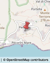 Rosticcerie e Salumerie,98055Messina