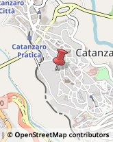 Cornici ed Aste - Dettaglio Catanzaro,88100Catanzaro