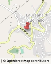 Autoscuole Laureana di Borrello,89023Reggio di Calabria