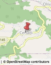 Cinema Cenadi,88060Catanzaro