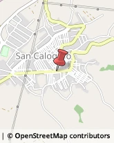 Autoscuole San Calogero,89842Vibo Valentia