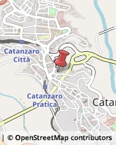 Notai Catanzaro,88100Catanzaro