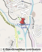 Elevatori e Montacarichi Catanzaro,88100Catanzaro