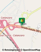 Aziende Agricole,88046Catanzaro