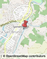 Paste Alimentari - Dettaglio Serra San Bruno,89822Vibo Valentia