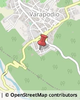 Agenzie di Animazione e Spettacolo Varapodio,89010Reggio di Calabria