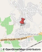 Professionali - Scuole Private Sellia Marina,88050Catanzaro