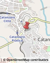 Pediatri - Medici Specialisti Catanzaro,88100Catanzaro