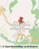 Comuni e Servizi Comunali Santa Cristina d'Aspromonte,89056Reggio di Calabria