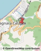 Porcellane - Dettaglio Bagnara Calabra,89011Reggio di Calabria