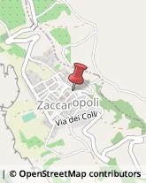 Autotrasporti Zaccanopoli,89867Vibo Valentia