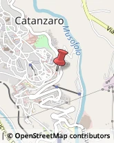 Aste Pubbliche Catanzaro,88100Catanzaro