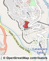 Frutta e Verdura - Dettaglio Catanzaro,88100Catanzaro