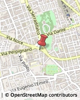 Veterinaria - Ambulatori e Laboratori Palermo,90100Palermo
