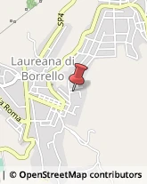 Agenti e Rappresentanti di Commercio Laureana di Borrello,89023Reggio di Calabria