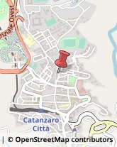 Consulenza Commerciale Catanzaro,88100Catanzaro