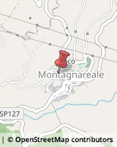 Piante e Fiori - Dettaglio Montagnareale,98060Messina