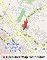 Autotrasporti Palermo,90146Palermo