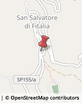 Piante e Fiori - Dettaglio San Salvatore di Fitalia,98070Messina