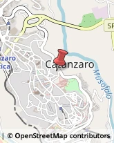 Farmacie Catanzaro,88100Catanzaro