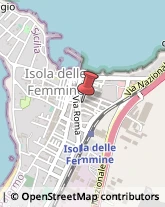 Piante e Fiori - Dettaglio Isola delle Femmine,90040Palermo