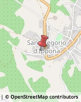 Parrucchieri San Gregorio d'Ippona,89900Vibo Valentia