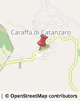 Onoranze e Pompe Funebri Caraffa di Catanzaro,88050Catanzaro