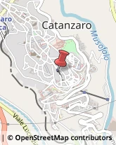 Psicologi Catanzaro,88100Catanzaro