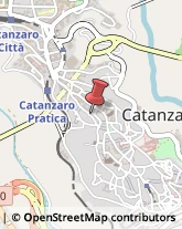 Pelletterie - Dettaglio Catanzaro,88100Catanzaro