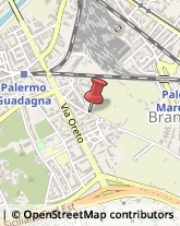 Scuole Pubbliche Palermo,90124Palermo