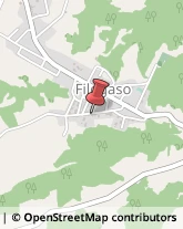 Scuole Pubbliche Filogaso,89843Vibo Valentia