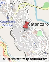 Pelletterie - Dettaglio Catanzaro,88100Catanzaro