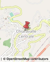 Piante e Fiori - Dettaglio Chiaravalle Centrale,88064Catanzaro