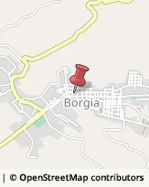 Geometri Borgia,88021Catanzaro