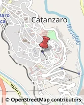 Notai Catanzaro,88100Catanzaro