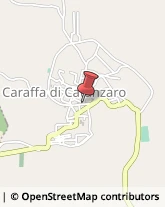 Disinfezione, Disinfestazione e Derattizzazione Caraffa di Catanzaro,88050Catanzaro