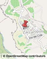 Farmacie Zaccanopoli,89867Vibo Valentia