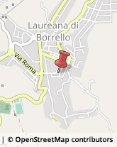 Commercialisti Laureana di Borrello,89023Reggio di Calabria