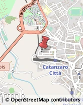 Elementari - Scuole Private Catanzaro,88100Catanzaro