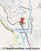 Agenti e Rappresentanti di Commercio Catanzaro,88100Catanzaro