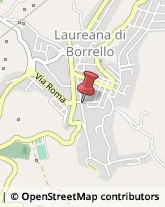 Avvocati Laureana di Borrello,89023Reggio di Calabria