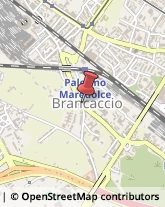 Chiesa Cattolica - Servizi Parrocchiali Palermo,90124Palermo