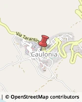 Parrucchieri Caulonia,89041Reggio di Calabria
