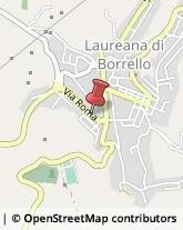 Consulenza Commerciale Laureana di Borrello,89023Reggio di Calabria