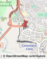 Timbri e Numeratori Catanzaro,88100Catanzaro