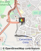 Timbri e Numeratori Catanzaro,88100Catanzaro