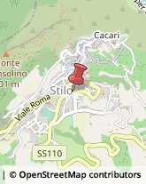 Aziende Sanitarie Locali (ASL),89049Reggio di Calabria
