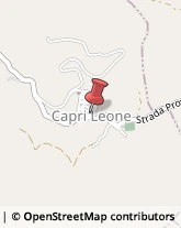 Bar e Caffetterie Capri Leone,98070Messina