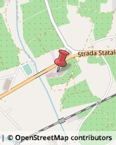 Strada Statale 106, Km 198,88050Sellia Marina