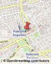 Palestre e Centri Fitness,90134Palermo